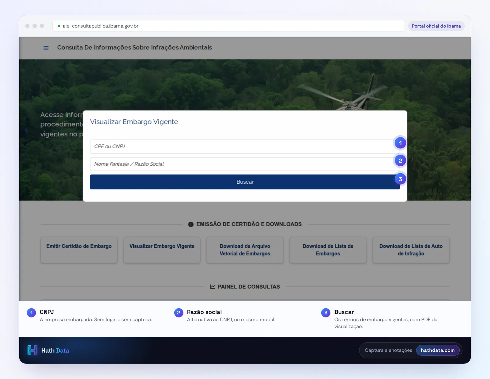 Portal de infrações ambientais do Ibama com o modal Visualizar Embargo Vigente aberto: CNPJ, razão social e Buscar