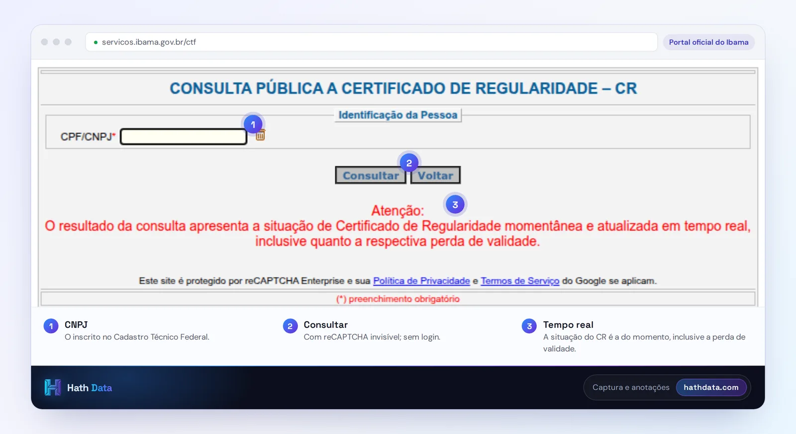 Tela de consulta pública a Certificado de Regularidade do Ibama: campo de CNPJ e botões Consultar e Voltar