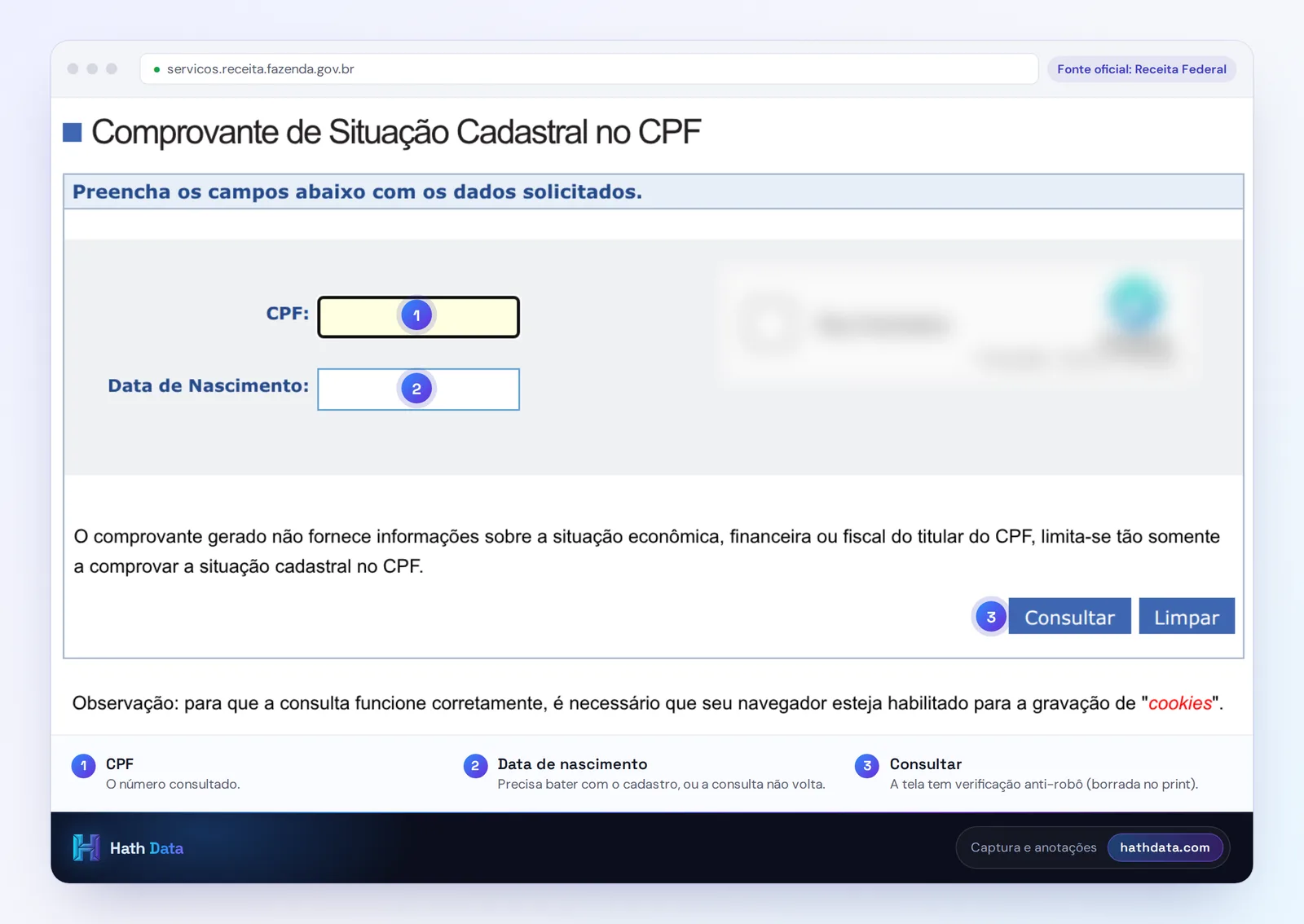Formulário do comprovante de situação cadastral no CPF da Receita Federal, com CPF e data de nascimento